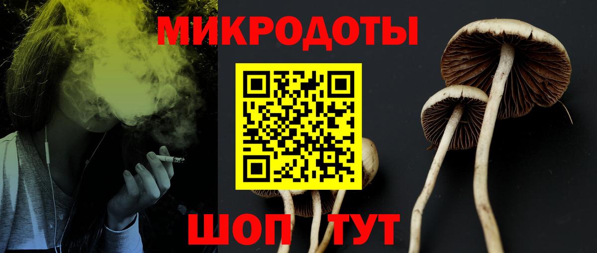 Люберцы  Псилоцибиновые грибы GOLDEN TEACHER  Вход с VPN 